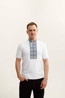 Чоловіча вишиванка Терен кольорова