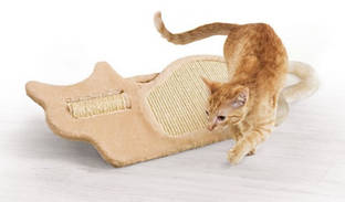 Дошка для дряпання кішок ZOOFARI KRATZBRETT Когтеточка з іграшкою 9000029