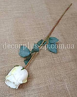 Троянда шампань , 57см