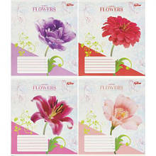 Зошит кольоровий 36 аркушів, клітинка 3752 D MZOPT