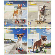 Зошит кольоровий 36 аркушів, клітинка 3754 N MZOPT