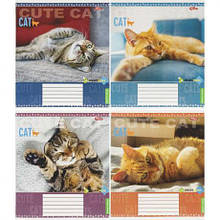 Зошит кольоровий 36 аркушів, клітинка 3762 N MZOPT