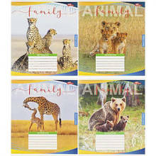 Зошит кольоровий 48 аркушів, клітинка 3810 N MZOPT