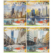 Зошит кольоровий 48 аркушів, клітинка 3812 N MZOPT