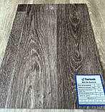 Побутовий лінолеум Tarkett Sommer Delta Ostin 6 - ширина 2,5 і 3 і 3,5 і 4 метри, фото 3