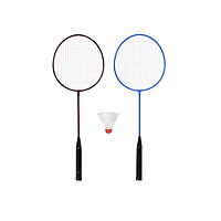 Набір для бадмінтону з воланом у сітці D210 615-1