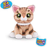 Петс Елайв Грайливі кошенята Смугастий кіт Джинджер Pets Alive Smitten Kittens Surprise Tabby Cat Ginger Оригінал, фото 4