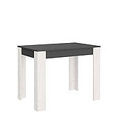 Обідній стіл для кухні, сучасний прямокутний стіл на кухню СТО-1 Еверест