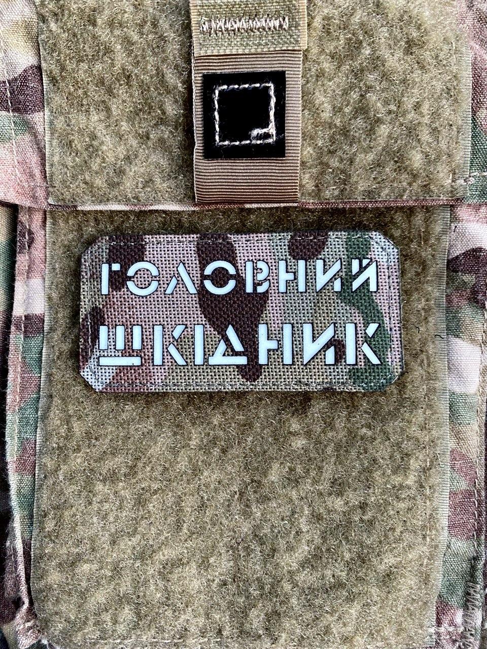 Шеврон “Головний шкідник” mc/gl