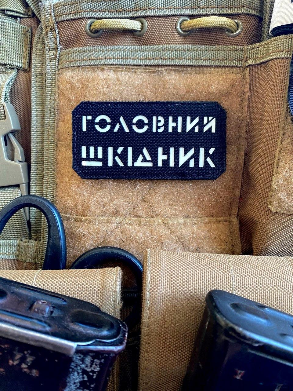 Шеврон “Головний шкідник” bk/gl, фото 1