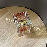 Унісекс Парфуми Marc-Antoine Barrois Aldebaran (Tester) 100 ml Альдебаран (Тестер) 100 мл, фото 6