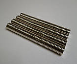 Магніт неодимовий N35 шайба діаметр 12мм 2мм сила 1.9кг, фото 7