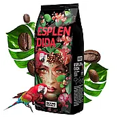 Кава в зернах Beans Republic ESPLENDIDA 100% Арабіка, 1000г