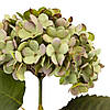 Квітка штучна "Гортензія", салатова ELISEY, фото 3