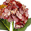Букет "Гортензія великолиста", бордова ELISEY, фото 3