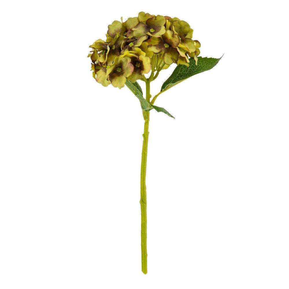 Букет "Гортензія кімнатна", салатова ELISEY, фото 1