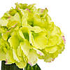 Гортензія салатова, 74 см ELISEY, фото 3