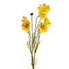 Космея жовта, 90 см ELISEY, фото 2
