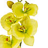 УЦІНКА Орхідея зелена, 90 см, силікон (брудні) ELISEY, фото 3