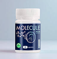 Molecule Plus Premium (Молекул Плас Преміум) - Оригінал. гарантія якості