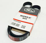 Ремінь ГУР (гідропідсилювача керма) Mitsubishi Lancer IX (Міцубісі Лансер 9) 1.6 Gates Бельгія, фото 2