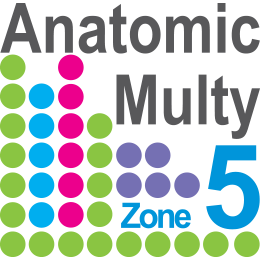 Anatomic Multi
