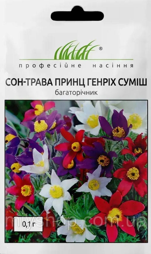Сон-трава принц Генріх суміш 0,1 гр Професійне насіння Нидерланды, фото 1