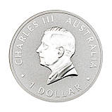 Срібна монета $1 «Клинохвостий орел» 1 унція 2024 — гордість Австралії, фото 5