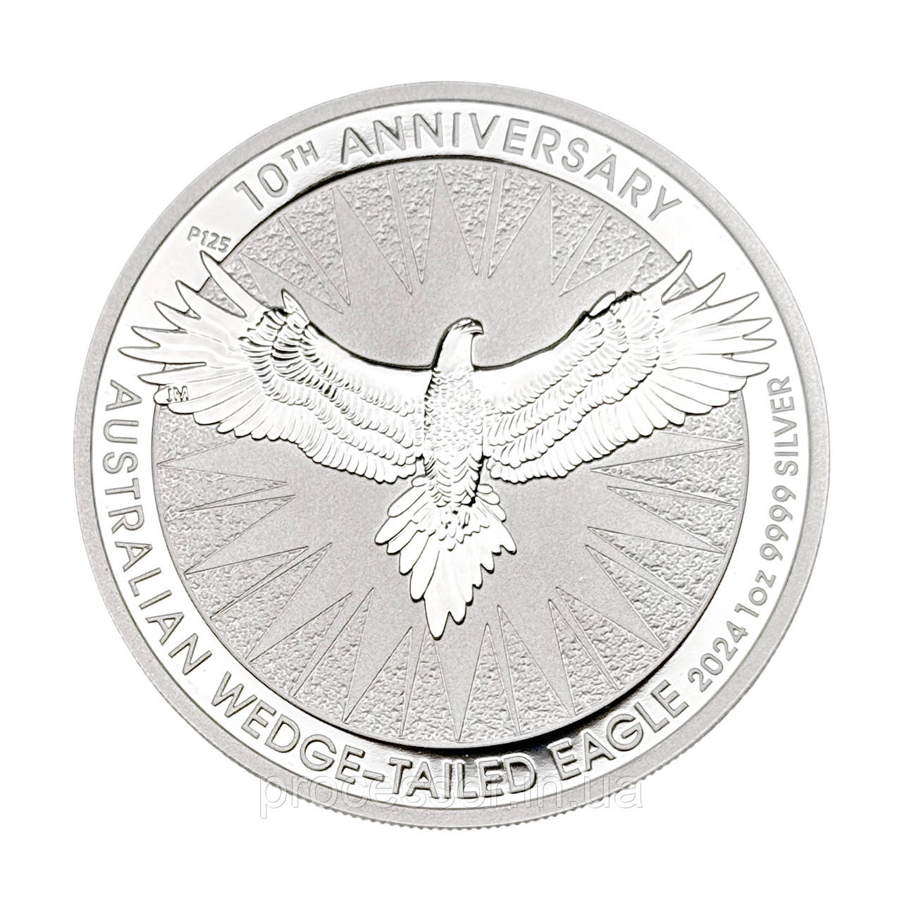 Срібна монета $1 «Клинохвостий орел» 1 унція 2024 — гордість Австралії, фото 1