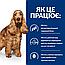 Сухий корм для собак при харчовій алергії Hill's (Хілс) Prescription Diet Food Sensitivities z/d 10 кг, фото 3