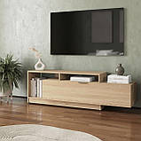 Тумба під телевізор підлогова однодверна з 3 полицями Стильні тумбочки під телевізор у вітальню шириною 160 см, фото 3