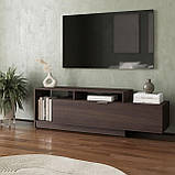 Тумба під телевізор підлогова однодверна з 3 полицями Стильні тумбочки під телевізор у вітальню шириною 160 см, фото 4