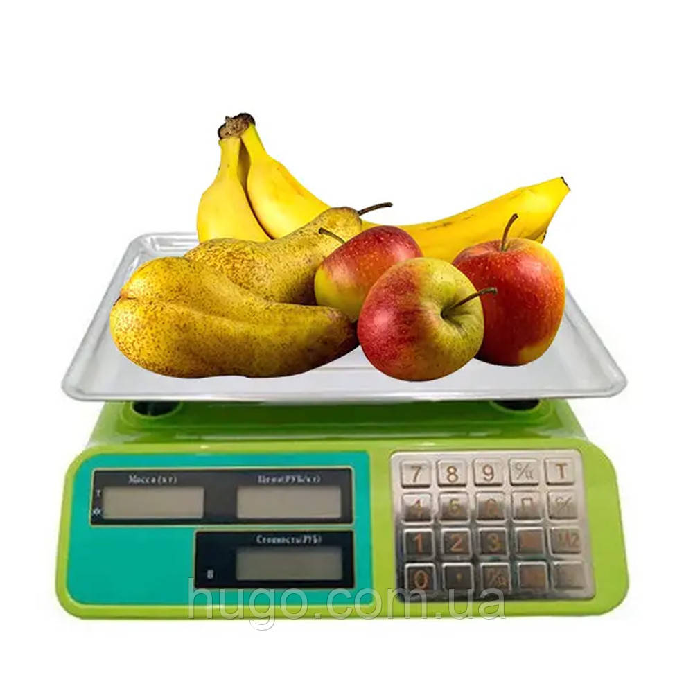 Електронні торгові ваги до 55 кг, Rainberg RB-303 / Акумуляторні ваги для торгівлі / Ваги електронні торгові, фото 1