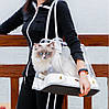 Сумка для перенесення котів та собак 36x30x20 см CosmoPet CP-104, фото 7