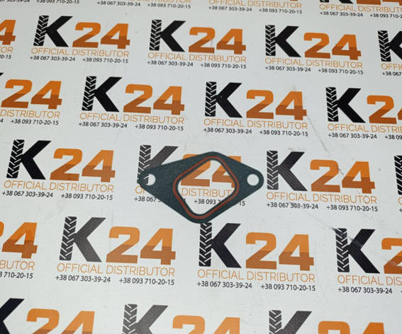 Прокладка впускного колектора R.220003W 240100041203, фото 1