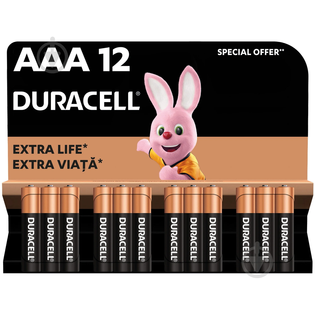 Батарейки лужні Duracell LR03 MN2400 AAA (мізинчикові) 12 шт.