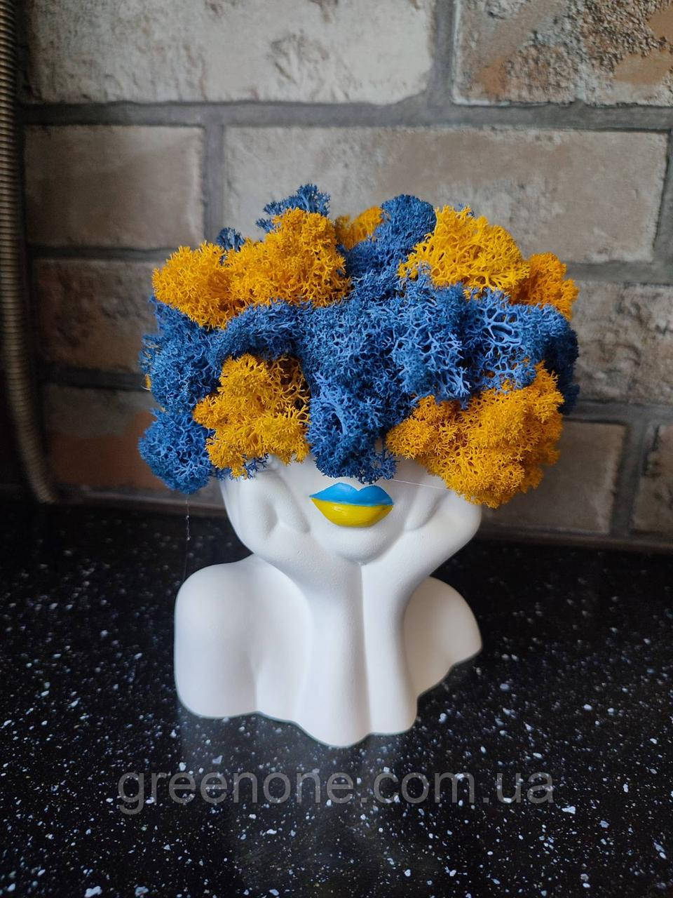 Дівчинка в гіпсовому кашпо з патріотичними губими зі стабілізованим норвезьким мохом жовтого та синього кольору ручної роботи, фото 1