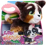 Інтерактивна іграшка FurReal Walk-A-Lots Бернедудель., фото 3