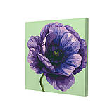 Картина за номерами Riviera Blanca, комплект з 3-х картин Лілові пелюстки 25х25 см (RB-1149), фото 3