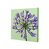 Картина за номерами Riviera Blanca, комплект з 3-х картин Лілові пелюстки 25х25 см (RB-1149), фото 4