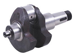 Колінвал голий на дизельний двигун SF-138-2