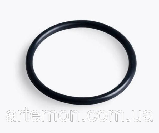 Кільце ущільнювальне Intex 11457 (для моторного блока фильтр-насоса, Ø60 мм, підходить до Intex 28678, 28682, 28652, 28648, 28646,