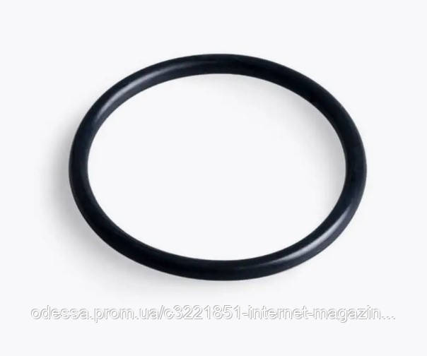 Кільце ущільнювальне Intex 11457 (для моторного блока фильтр-насоса, Ø60 мм, підходить до Intex 28678, 28682, 28652, 28648, 28646,, фото 1