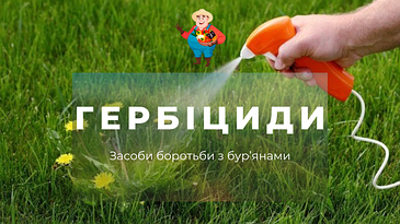 Гербіциди