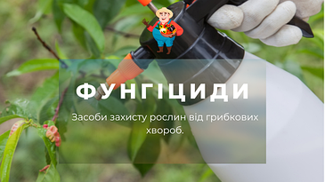 Фунгіциди