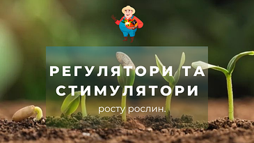 Регулятори та стимулятори росту рослин 
