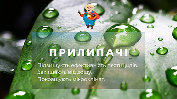 Приліпателі
