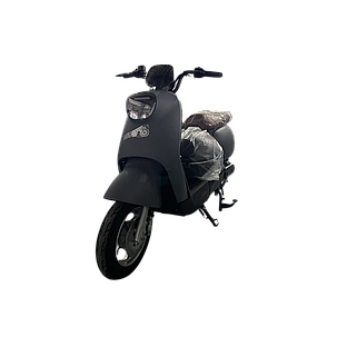 Електроскутер E-Titan Mini 10" Сірий, фото 1
