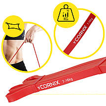 Еспандер-петля Cornix Power Band 13 мм 7-16 кг (гума для фітнесу та спорту) XR-0058 Poland, фото 4