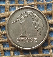 1 грош 2009 року. Польща